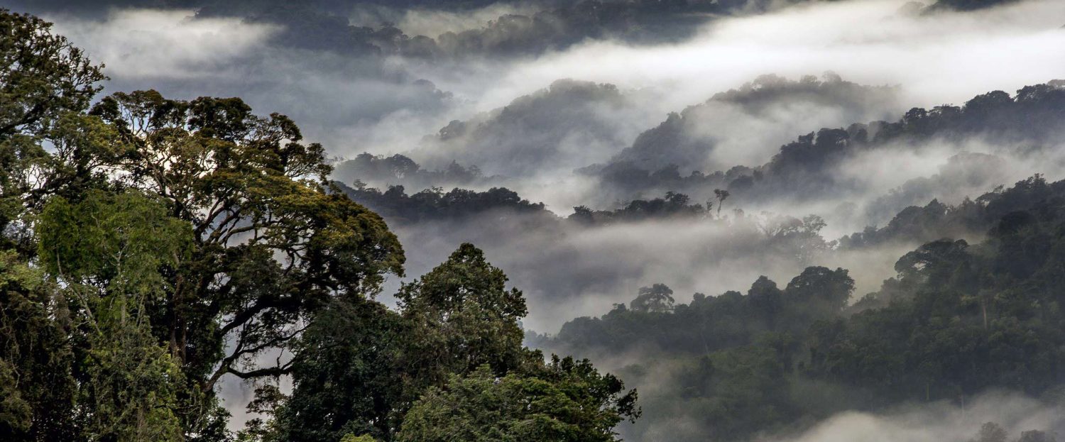 Rwanda Climate Change Forum